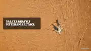 Galatasaraylı Metehan Baltacı, Gençlerbirliği'ne Kiralandı