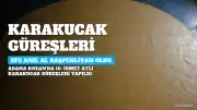 10. İsmet Atlı Karakucak Güreşleri'nde Efe Anıl Al Başpehlivan Oldu