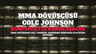 MMA Dövüşçüsü Cole Johnson, İnsan Yerine Şempanzeyle Karşılaşacak